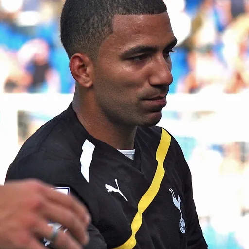 Portrait of Aaron Lennon