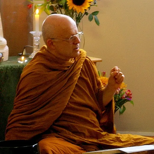 Portrait of Ṭhānissaro Bhikkhu