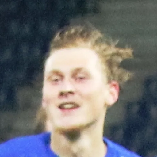 Portrait of Niklas Geyrhofer