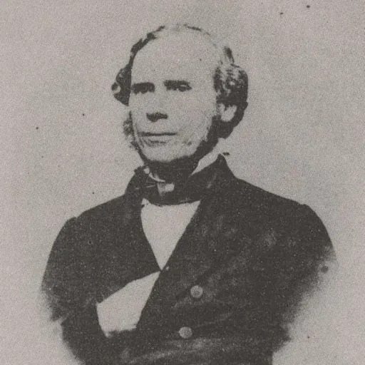 Portrait of João Lins Vieira Cansanção de Sinimbu