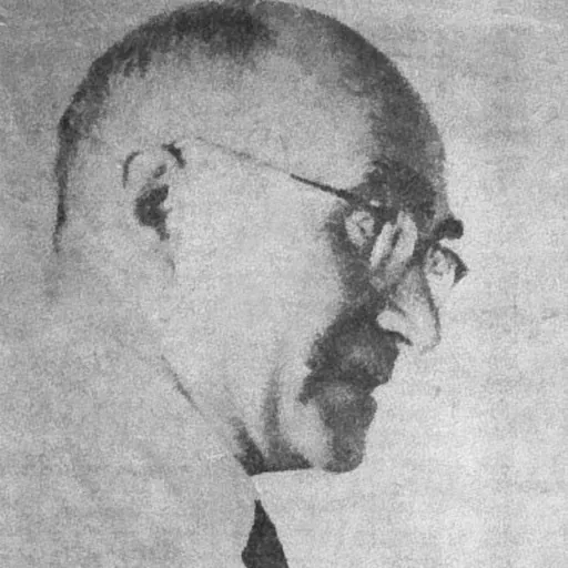 Portrait of Jerzy Konorski