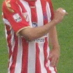 Portrait of Davide Gavazzi