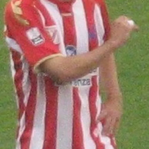 Portrait of Davide Gavazzi