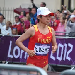 Portrait of Wang Xueqin