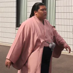 Portrait of Mitakeumi Hisashi