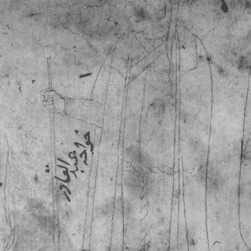 Portrait of Abd al-Qadir al-Maraghi