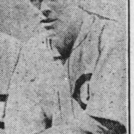 Portrait of Joe Kelly