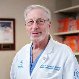 Portrait of David H. Abramson
