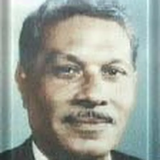 Portrait of Ali Lutfi Mahmud