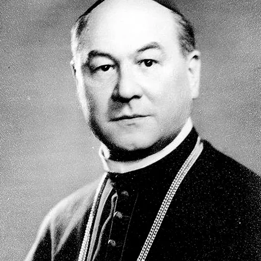 Portrait of Vilmos Apor