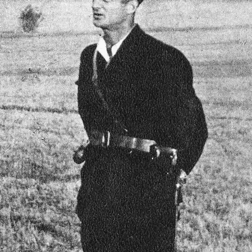 Portrait of Vicko Krstulović