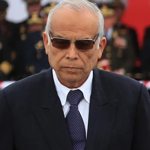 Portrait of Aníbal Torres