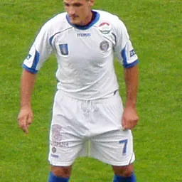Portrait of Tamás Szamosi