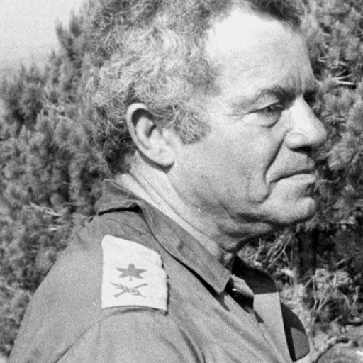 Portrait of Avraham Tamir