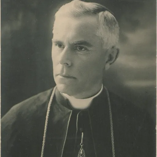 Portrait of François-Xavier Brunet