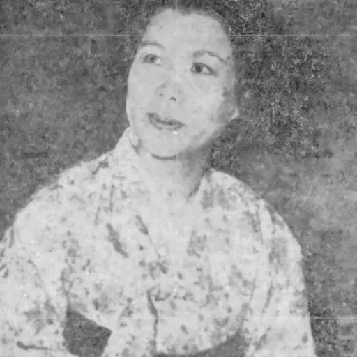 Portrait of Kim Nam-jo