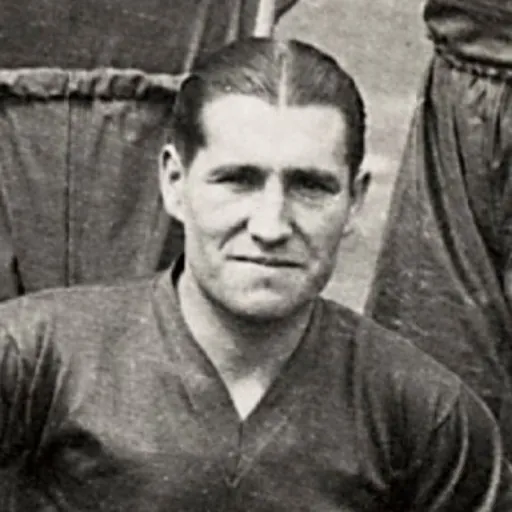 Portrait of César de Matos