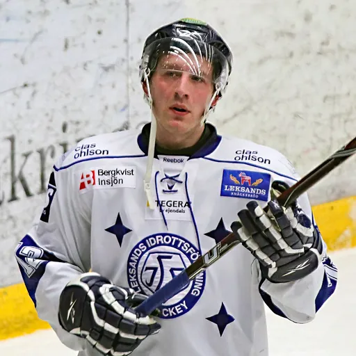 Portrait of Stefan Gråhns