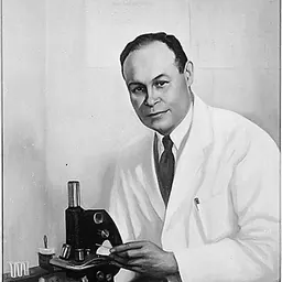 Portrait of Charles Drew