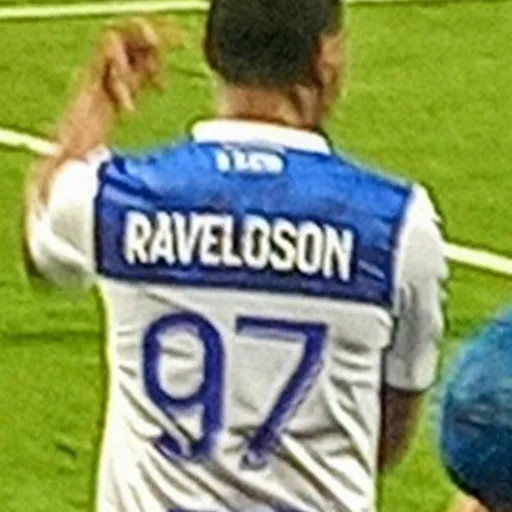 Portrait of Rayan Raveloson