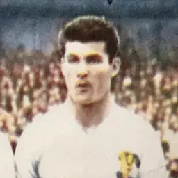 Portrait of Paul Halla