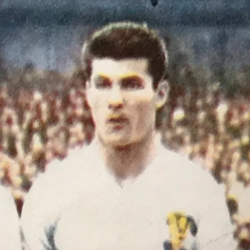 Portrait of Paul Halla
