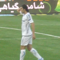 Portrait of Mohammad Heidari