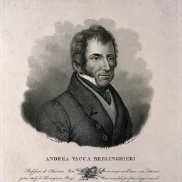 Portrait of Andrea Vaccà Berlinghieri