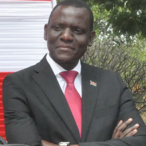 Portrait of Francis Kasaila