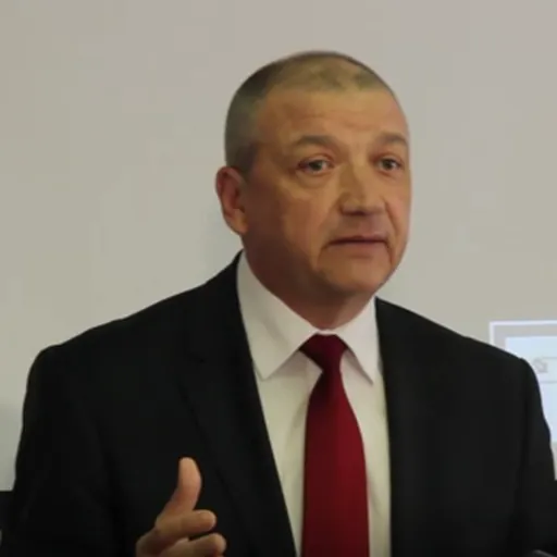 Portrait of Sergiu Mocanu
