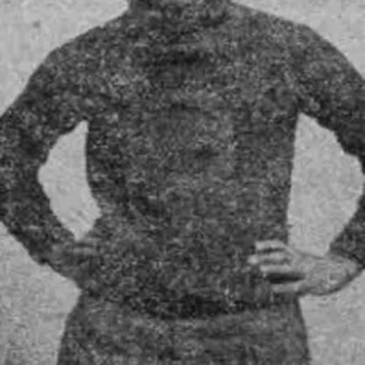 Portrait of Louis Pinkham