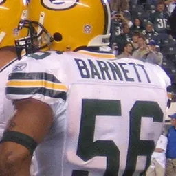 Portrait of Nick Barnett
