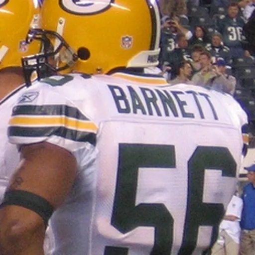 Portrait of Nick Barnett