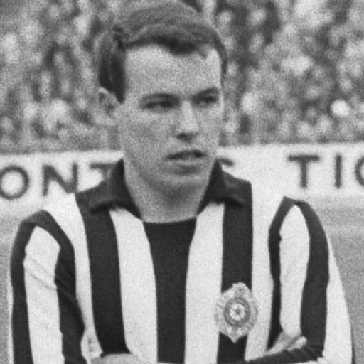 Portrait of Ljubomir Mihajlović