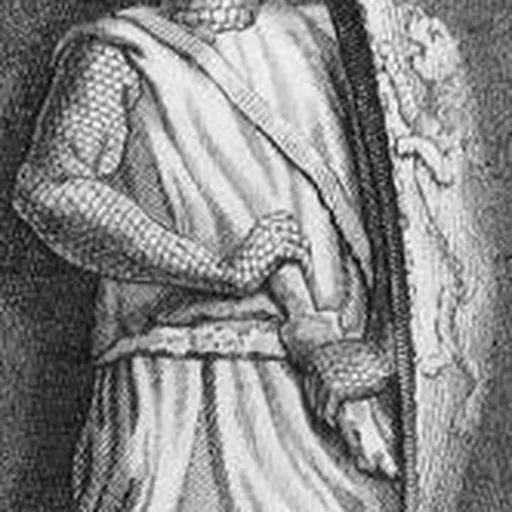 Portrait of William Marshal, 2nd Earl of Pembroke