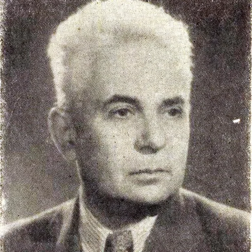 Portrait of László Háy