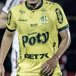 Portrait of Neto Moura