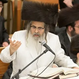 Portrait of Zalman Leib Teitelbaum