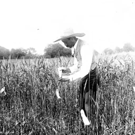 Portrait of Mark A. Carleton