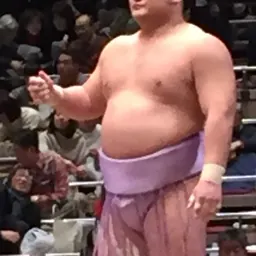 Portrait of Mitsunori Kotoekō