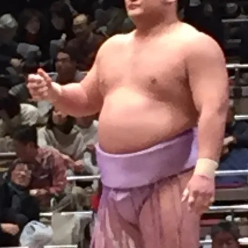 Portrait of Mitsunori Kotoekō