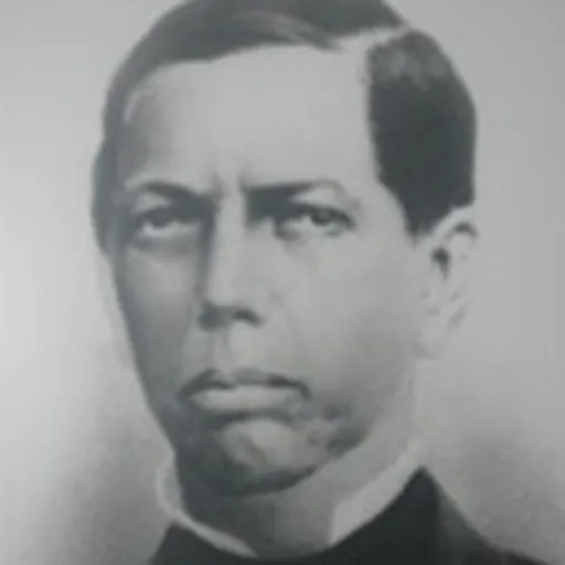 Portrait of Martinho Álvares da Silva Campos