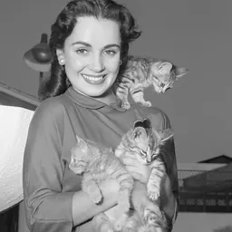 Portrait of Susan Cabot