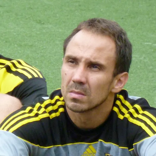 Portrait of Josip Škorić