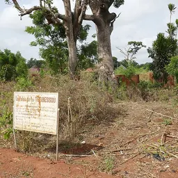 Portrait of Tegbesu