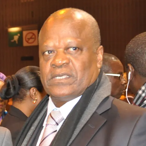 Portrait of Henri Djombo