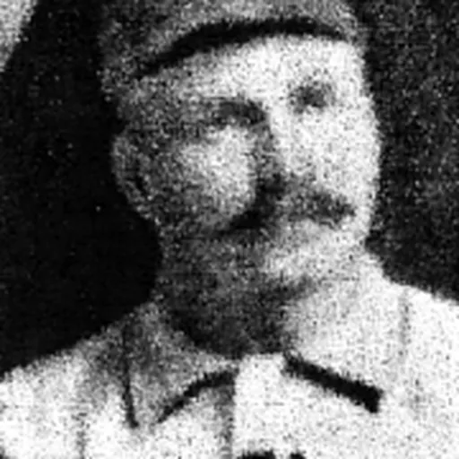 Portrait of Dad Lytle