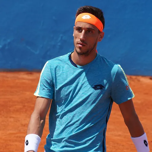 Portrait of Damir Džumhur