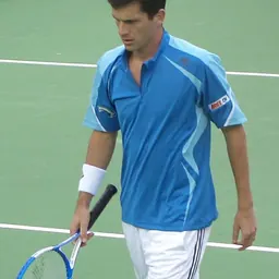 Portrait of Tim Henman
