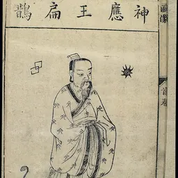 Portrait of Bian Que